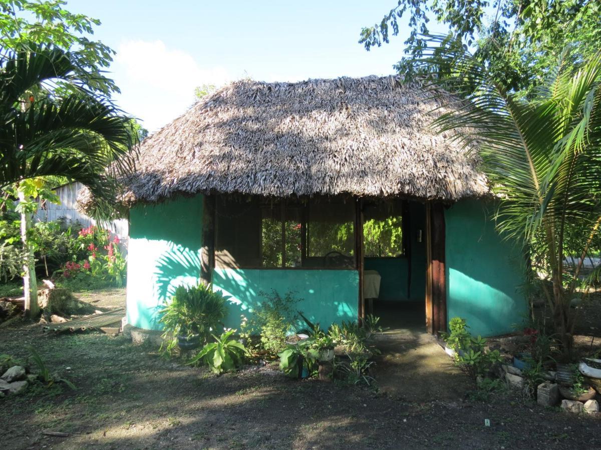 Вилла Cabanas Calakmul Конуас Экстерьер фото