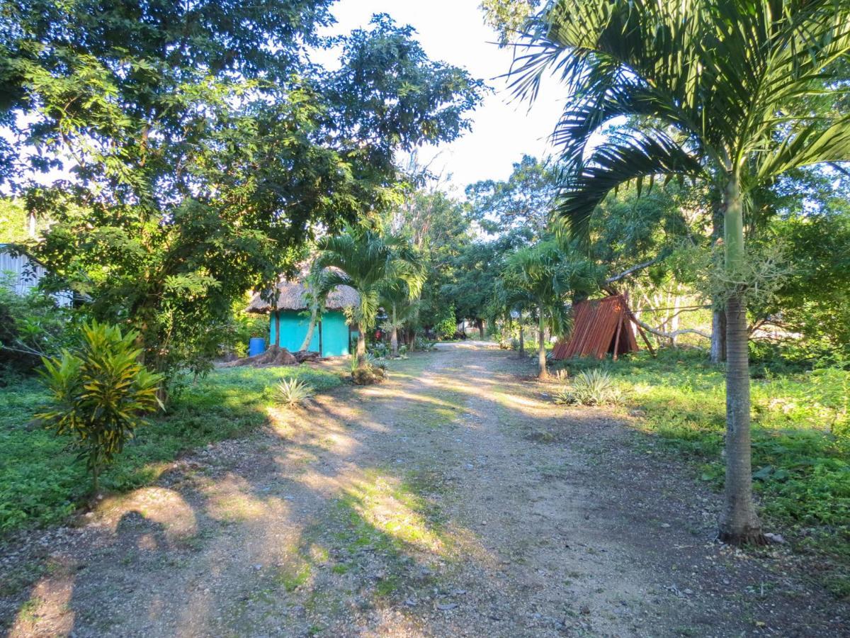 Вилла Cabanas Calakmul Конуас Экстерьер фото