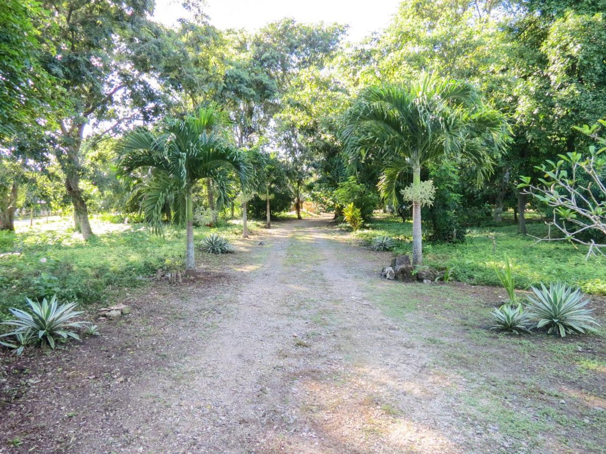 Вилла Cabanas Calakmul Конуас Экстерьер фото