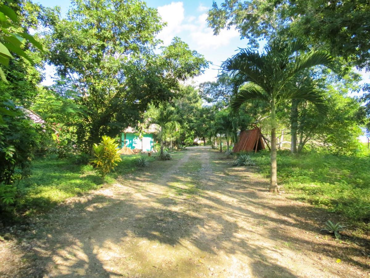 Вилла Cabanas Calakmul Конуас Экстерьер фото