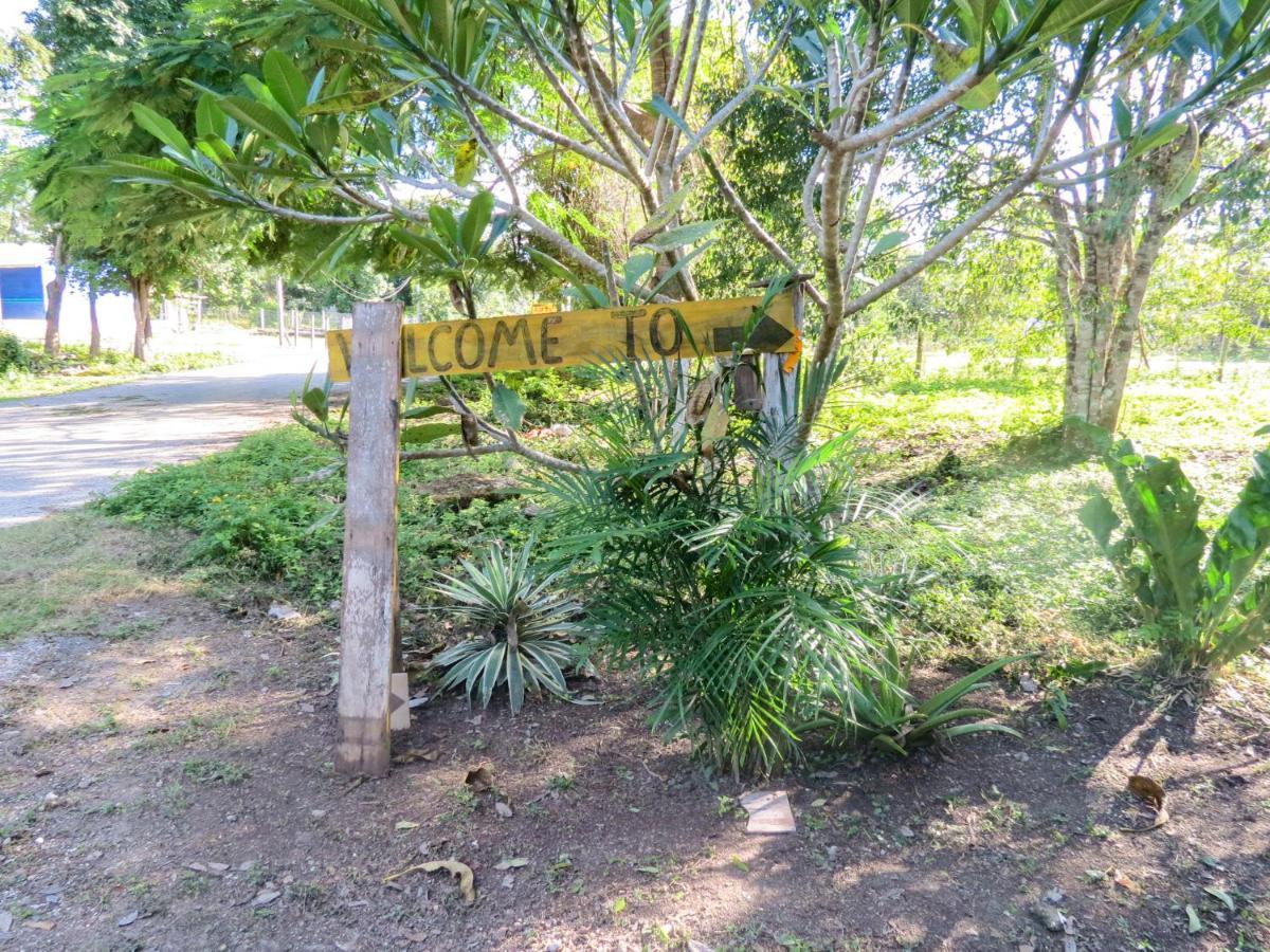 Вилла Cabanas Calakmul Конуас Экстерьер фото