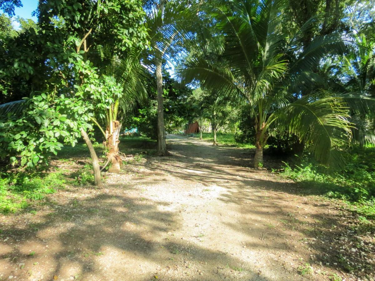 Вилла Cabanas Calakmul Конуас Экстерьер фото